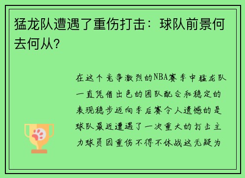 猛龙队遭遇了重伤打击：球队前景何去何从？