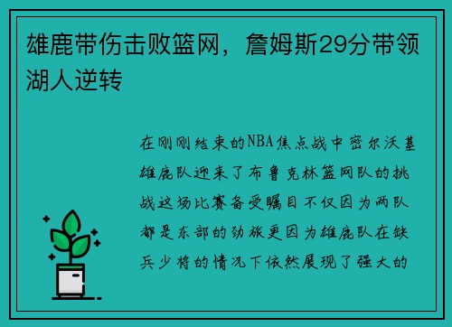 雄鹿带伤击败篮网，詹姆斯29分带领湖人逆转